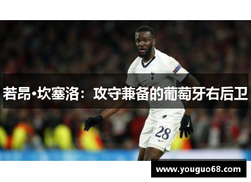 若昂·坎塞洛：攻守兼备的葡萄牙右后卫