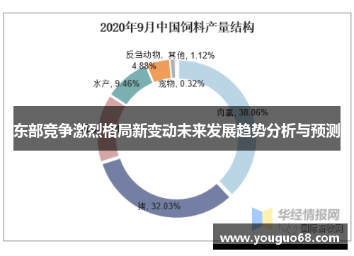 东部竞争激烈格局新变动未来发展趋势分析与预测